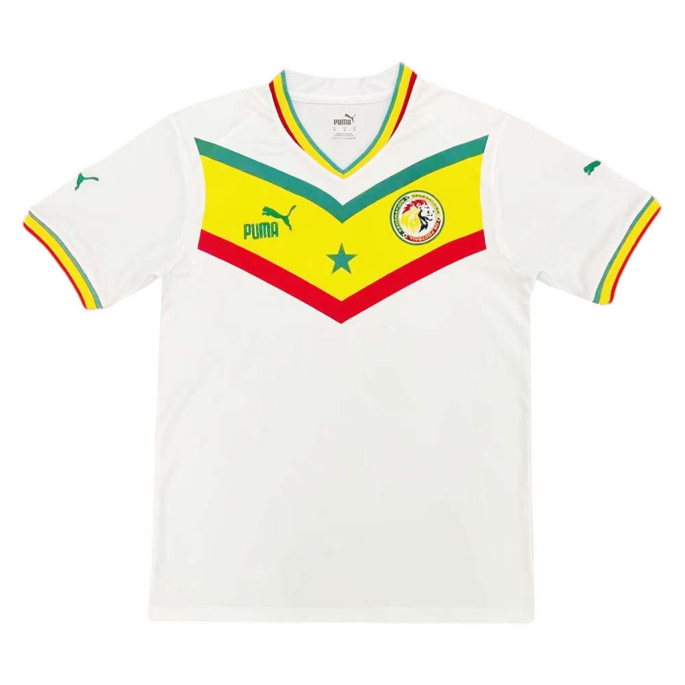 Senegal 2022 World Cup Home Jersey Soccer Jerseys, Shirts & Shorts